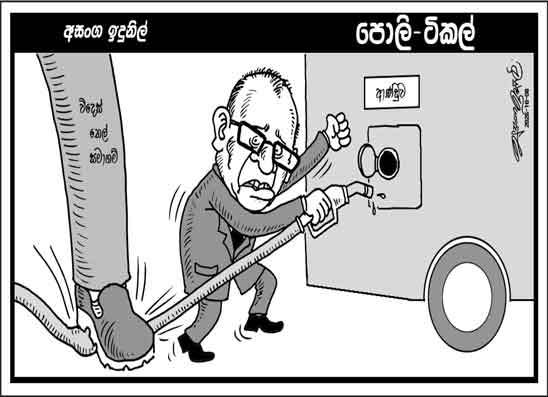 පොලි ටිකල් 08-10-2026