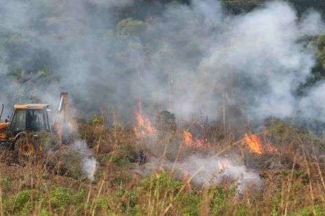 සිංහරාජ ප්‍රධාන වන මංකඩට නැවතත් හෙනහුරා