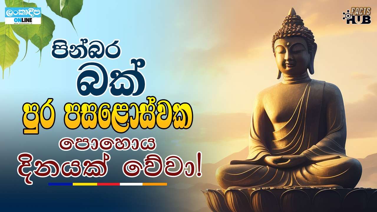පින්බර බක් පුර පසළොස්වක පොහොය දිනයක් වේවා !