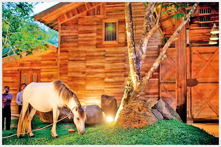 20190428Barn-(5)