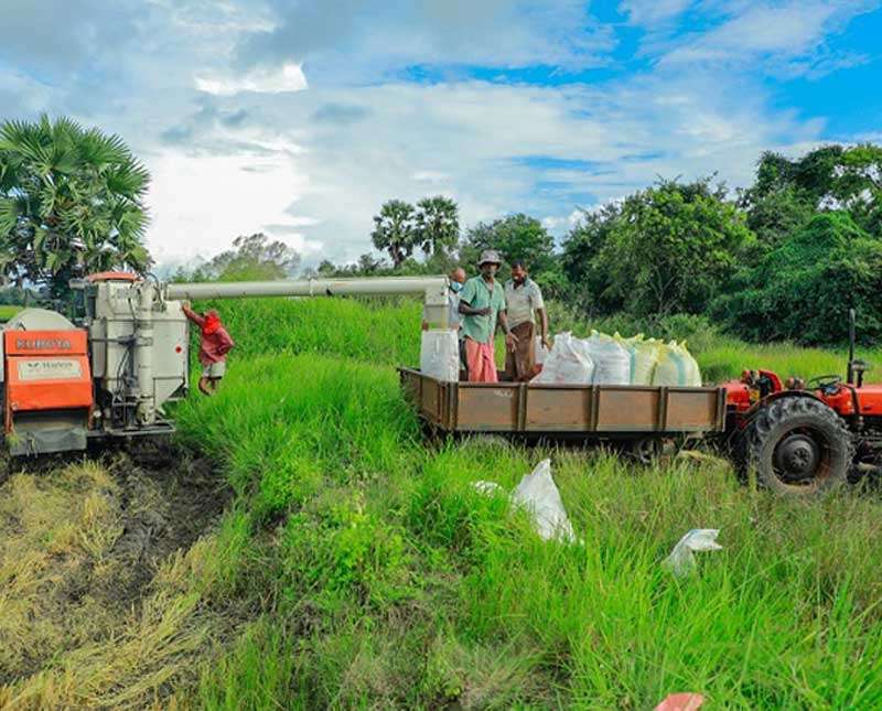 ගොවි නියාමකගේ සේවය ඔබේ ගමට නිසි ලෙස ලැබෙනවාද?