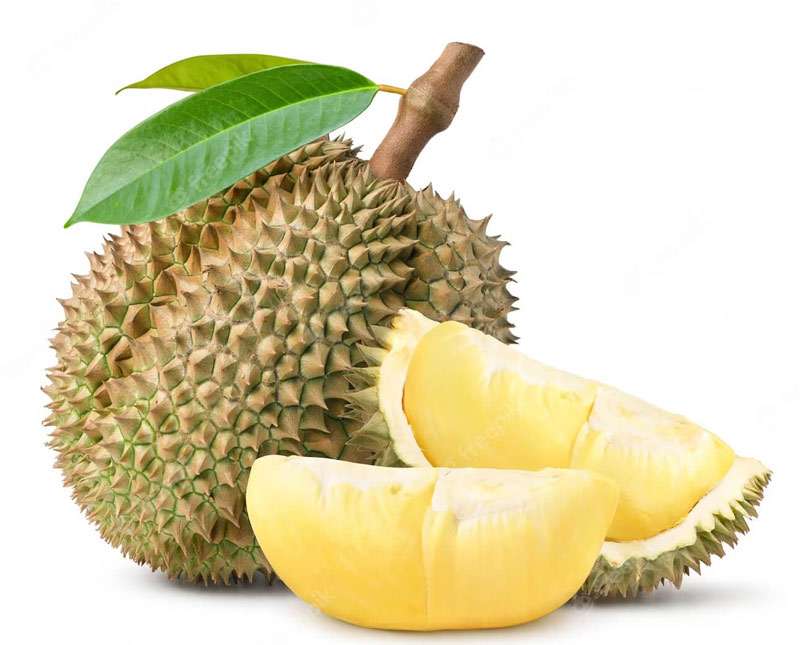 Durian  Lovers