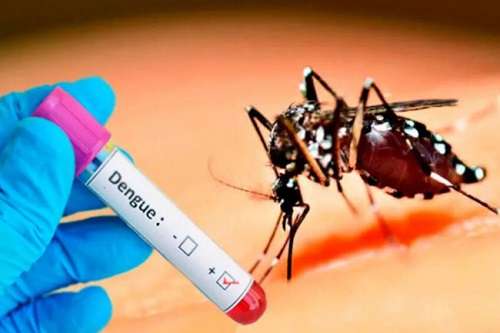 ඩෙංගු අධි වසංගත තත්ත්වයක් ඇතිවීමේ අවදානමක්