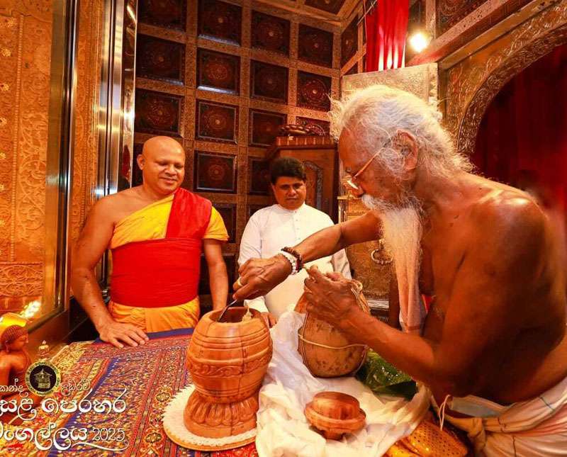 ආදිවාසීන්ගේ මී පැණි පූජාව දළඳා මාලිගාවට පිරිනැමේ
