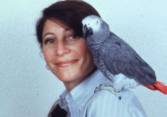 සත්තුන්ගේ බුද්ධිය ගැන ලෝකයම දරපු මතය වෙනස් කරපු අපූරු ගිරවෙක් තමයි ’’ඇලෙක්ස්’’