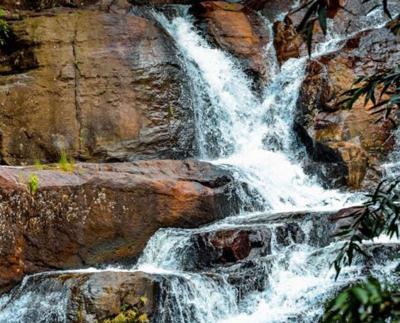 සොබාදහමේ අපූර්වත්වය නොසඟවන කන්නෙලිය