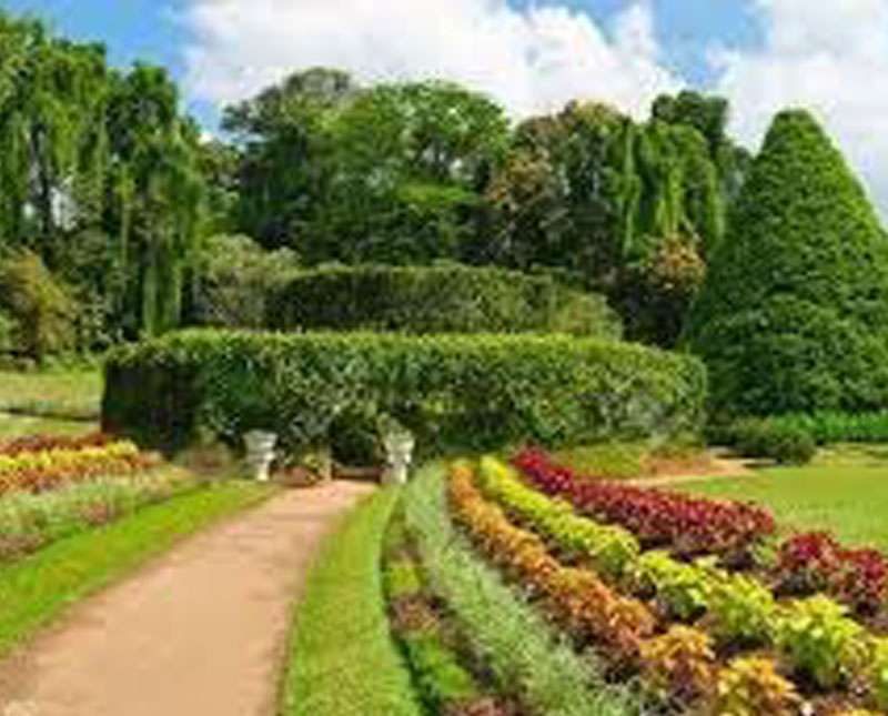 හක්ගල උද්භිද උද්‍යානය සංචාරකයන් සඳහා යළි විවෘත කෙරේ