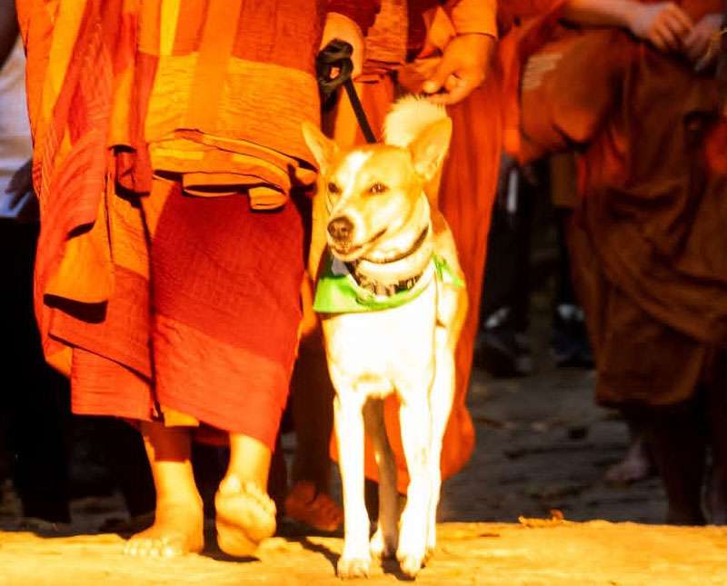 දැනෙන වේදනාව වැඩි වුණත් ගමන අත් නොහරින ආලෝකා