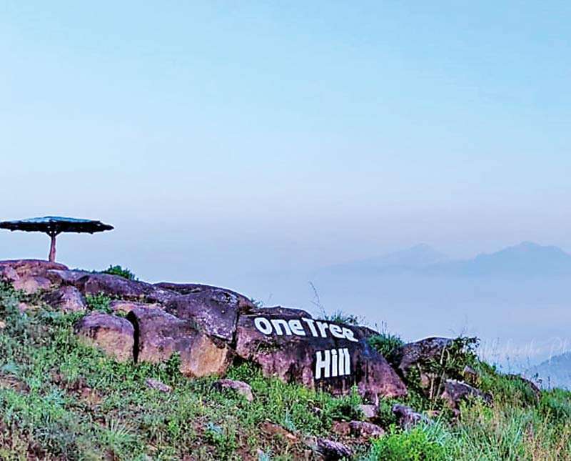 හරිත ලෝකයක කඳවුරු බඳින්න -  ONE TREE HILL