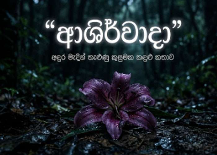 “ආශිර්වාදා” අඳුර මැදින් තැළුණු කුසුමක කඳුළු කතාව