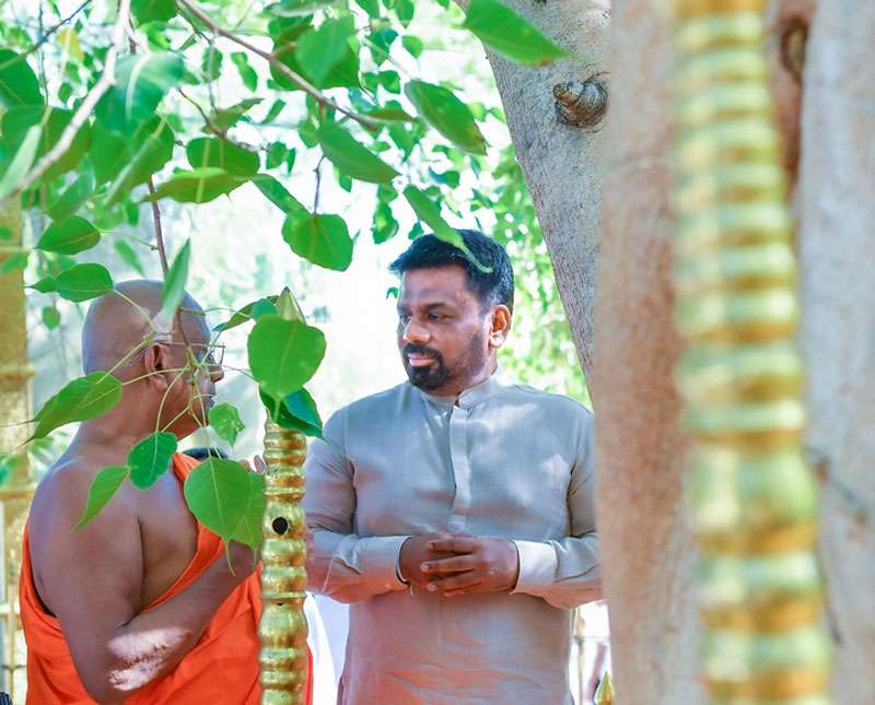 සෝමවතී පුදබිමට පුරාවිද්‍යා කෞතුකාගාරයක්