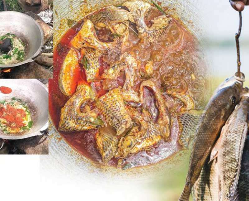 වැව් මාළු සැමන් සම්බෝලය