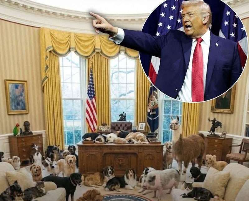 සත්ව හිංසනයට එරෙහිව ඇමරිකානු රජයෙන් දැවැන්ත මෙහෙයුමක්!