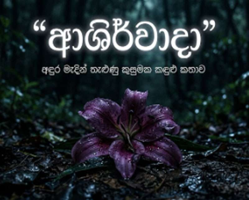 “ආශිර්වාදා” අඳුර මැදින් තැළුණු කුසුමක කඳුළු කතාව
