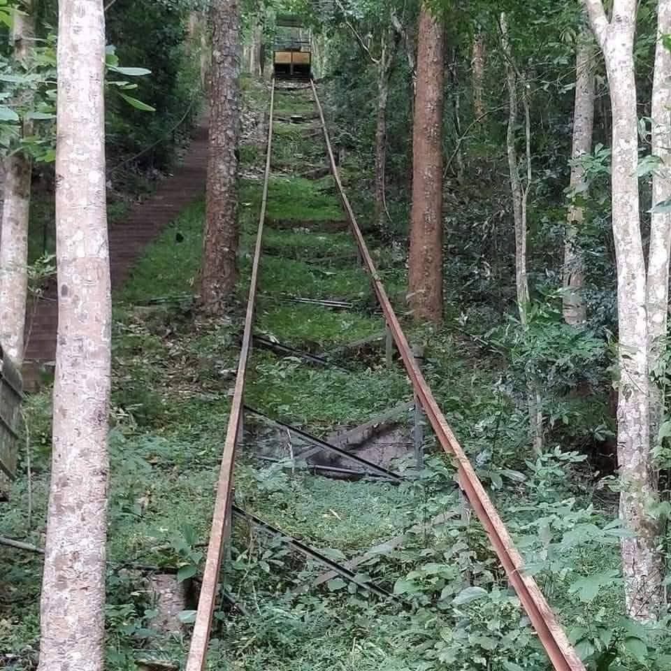 Slide 1