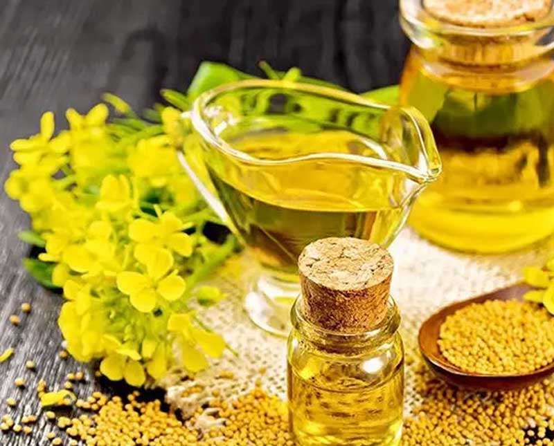 අබ ඇටයක් තරම් උනාට බලන්න එපාය වැඩ