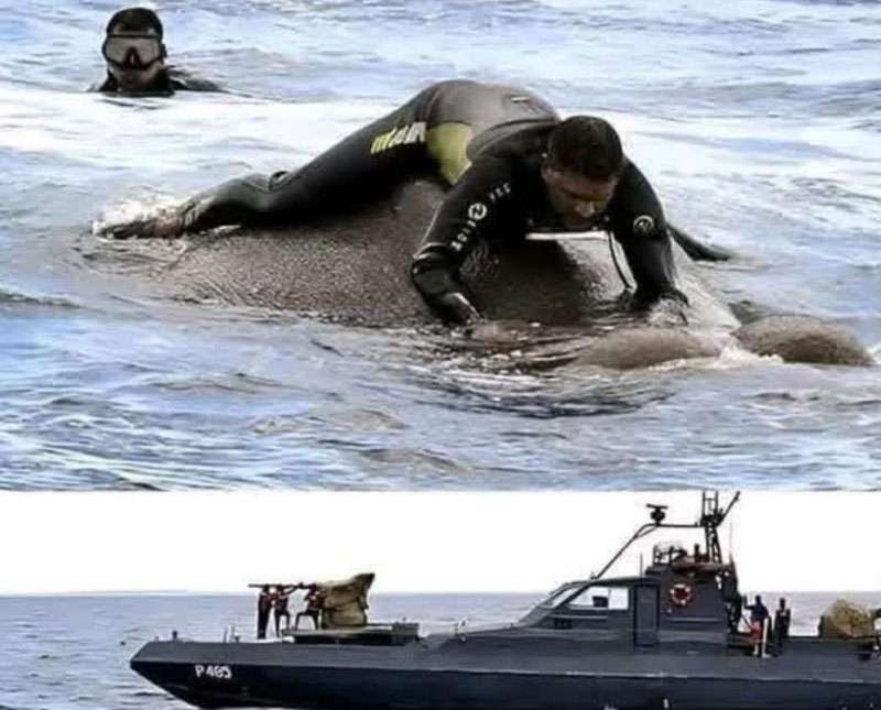 මුහුදේ ගසාගෙන ගිය සද්ධන්තයා බේරා ගත් නාවික වික්‍රමය