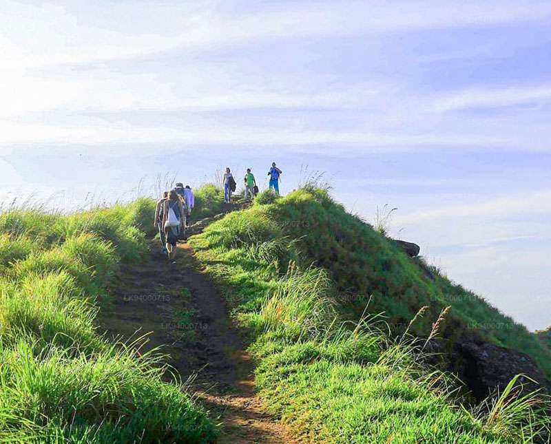 නකල්ස් රිවස්ටන් සංචාරක කලාපය සිමාවන්ට යටත්ව  විවෘත්ත කෙරේ