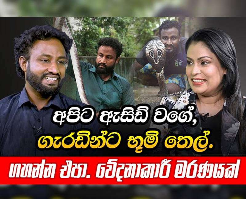 ගැරඬි, නයි මරලා පව් පුරෝ ගන්න එපා. මෙහෙම කියන්නේ ඇයි ?