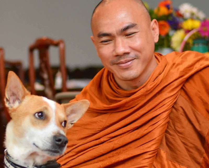 සාම පා ගමනට එක්වන ‘ආලෝකා’ සහ ඔබ දැනගත යුතු සියල්ල