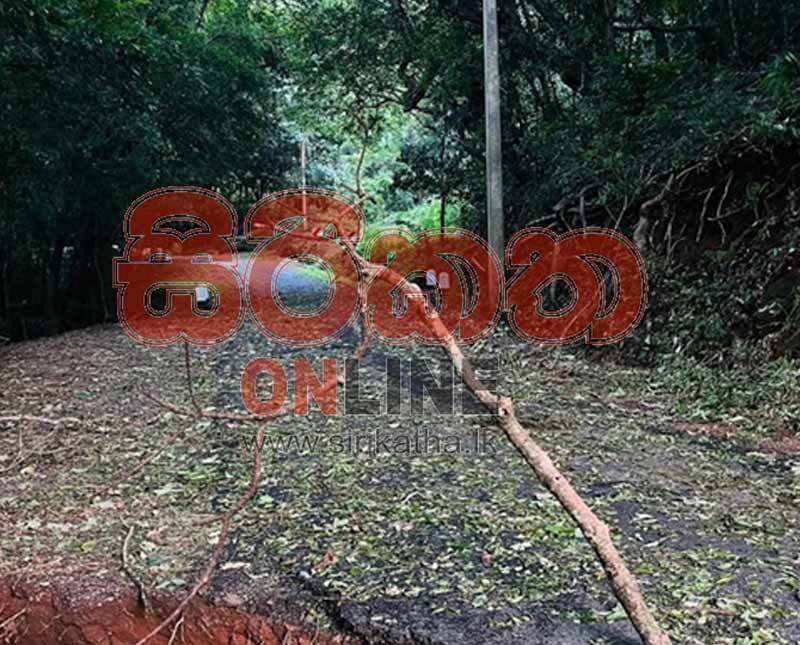 රිවස්ටන් මාර්ගය මේ වන විට  අවහිර වී ඇති අයුරු