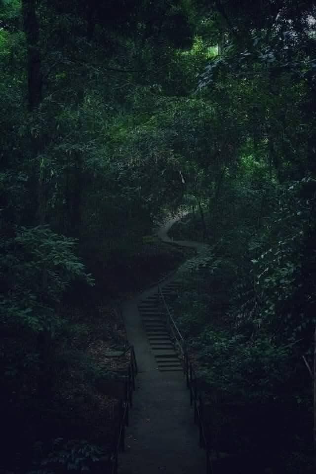 Slide 8