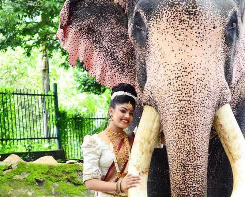 තේජස සහ ලාලිත්‍යයේ සුන්දරත්වය