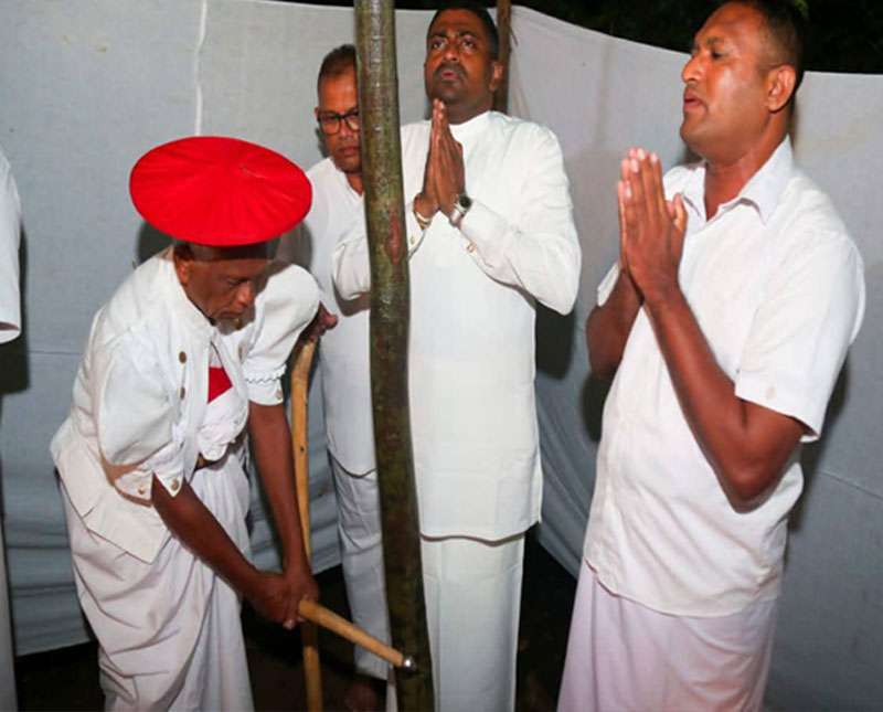 ඇසළ පෙරහැර මංගල්‍යයේ කප් කැපීමේ චාරිත්‍රය අද