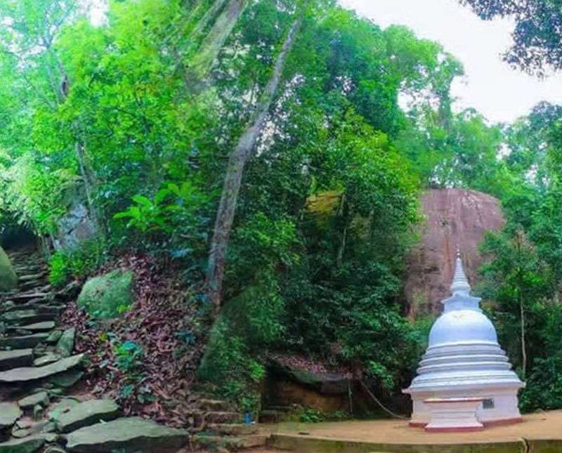 සිත පහන් කරවන සල්ගල ආරණ්‍ය සේනාසනය