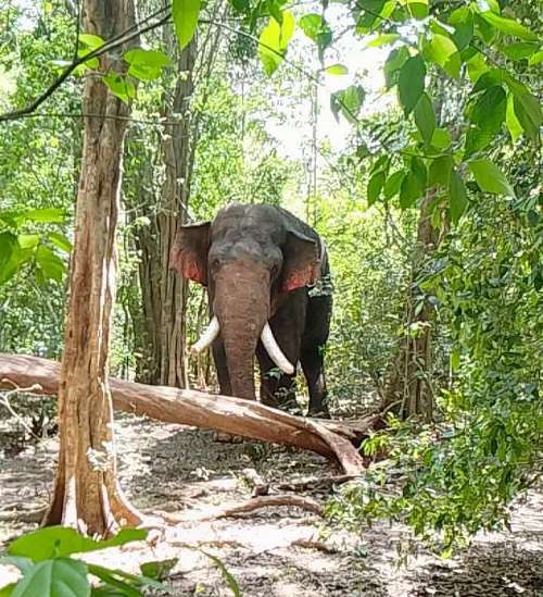 අග්බෝ සෙවූ වීඩියෝවේ රහසින් කියන දේ ගැන විස්තරේ
