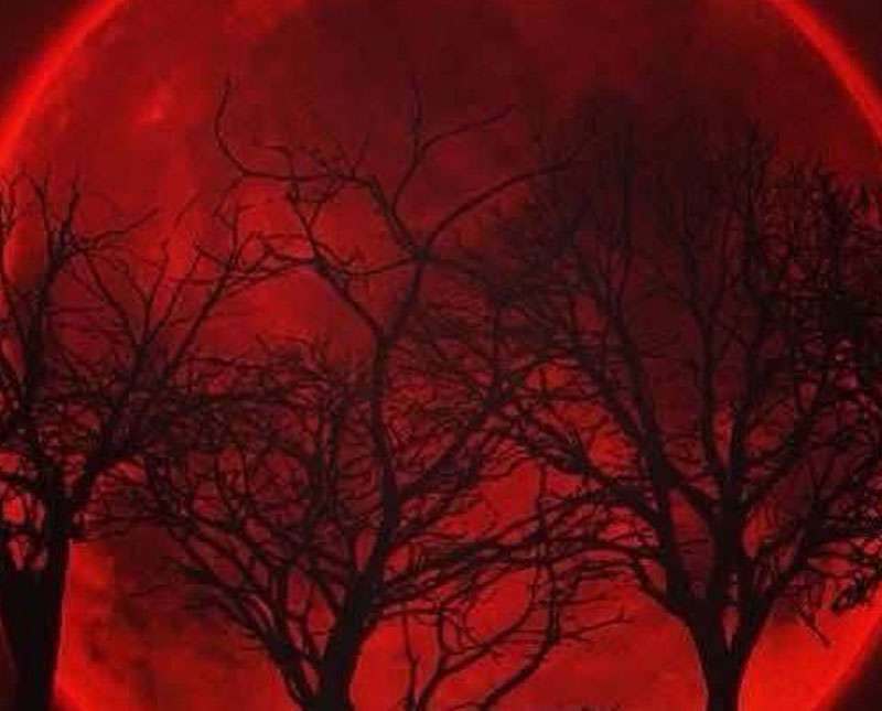 අද රෑ අහස දිහා බලන්න අමතක කරන්න එපා