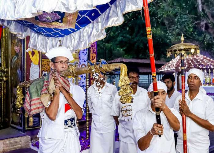 ඇසළ පෙරහර මංගල්‍යයේ සිව් මහා දේවාලයන්හි කප් සිටුවීමේ මංගල්‍යය අද