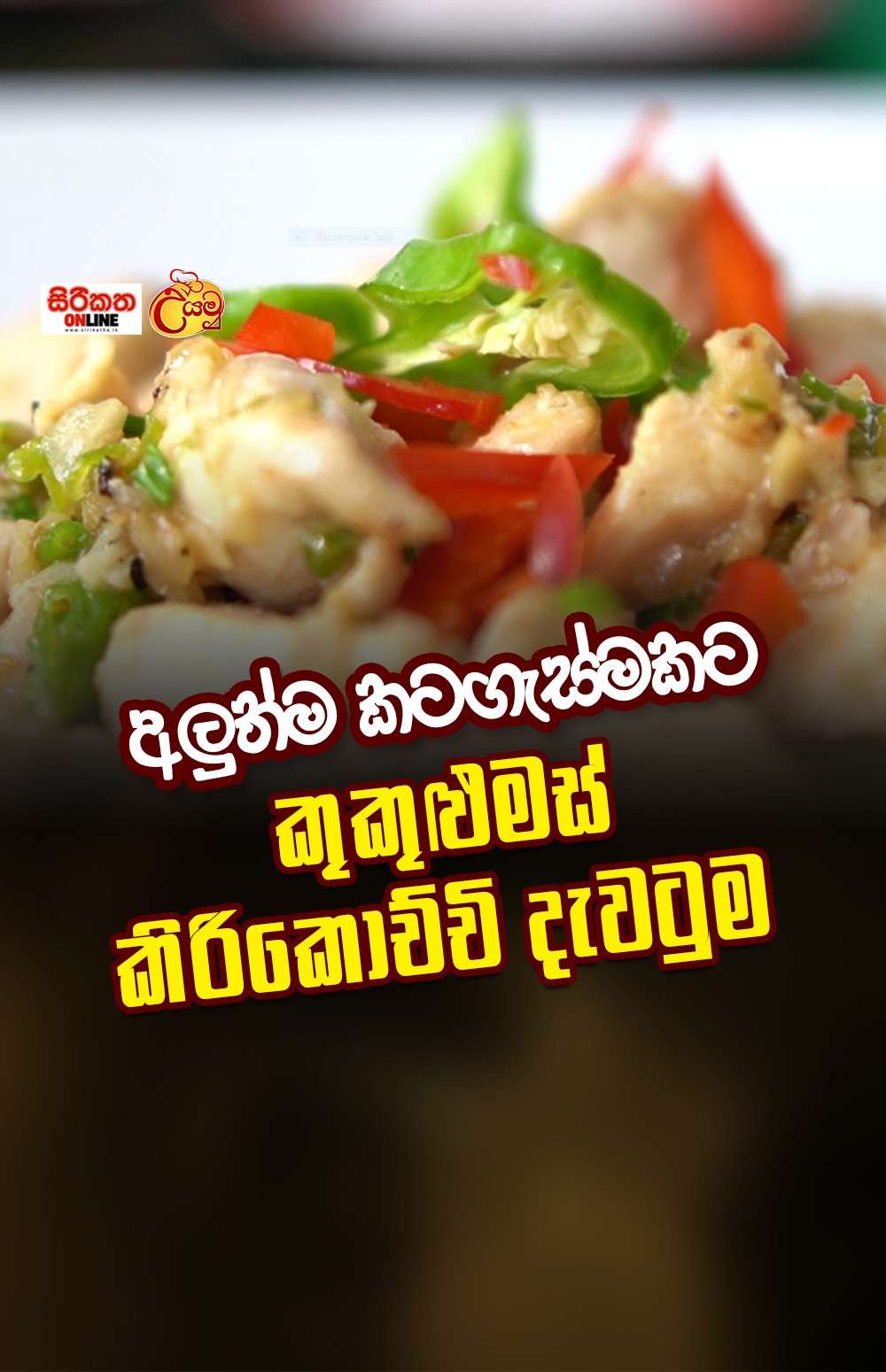 ගෘහණියන්ට ගෙන එන රසම රස කටගැස්ම