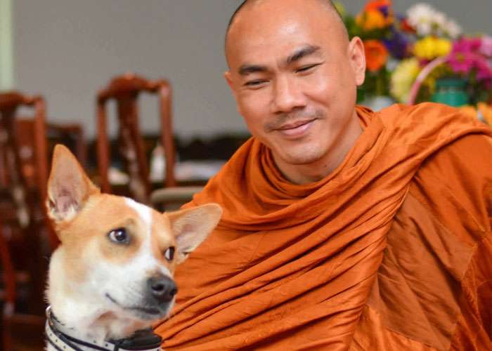 සාම පා ගමනට එක්වන ‘ආලෝකා’ සහ ඔබ දැනගත යුතු සියල්ල