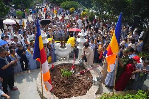 වියට්නාමයේ ජය ශ්‍රී මහා බෝධි අංකුරයක් රෝපණය කෙරේ