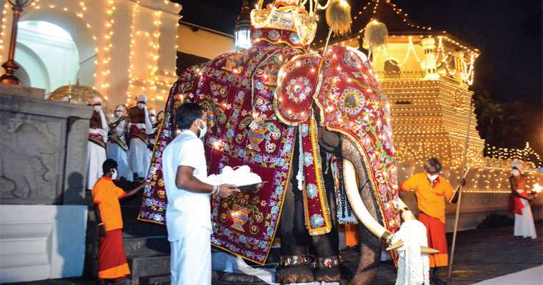 About my country picture