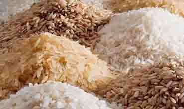 Govt decides to import 70,000 Mt of rice to ease shortages and prices