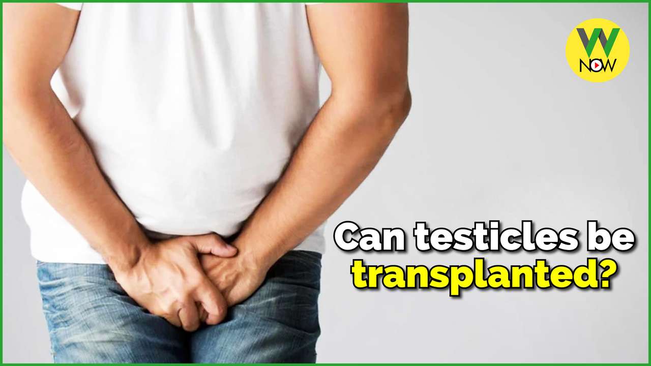 W NOW ලෝකයේ පළමු ශ්වසන එන්නත