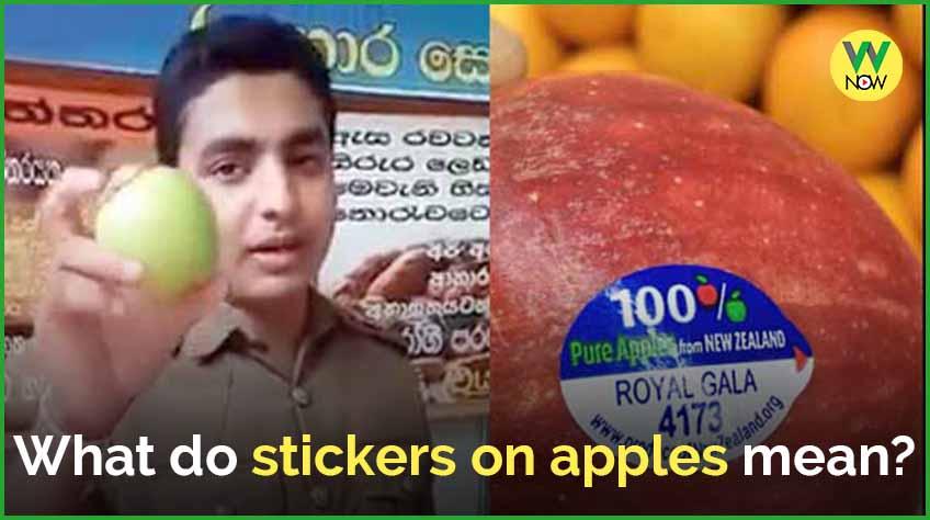 w-now-what-do-stickers-on-apples-mean